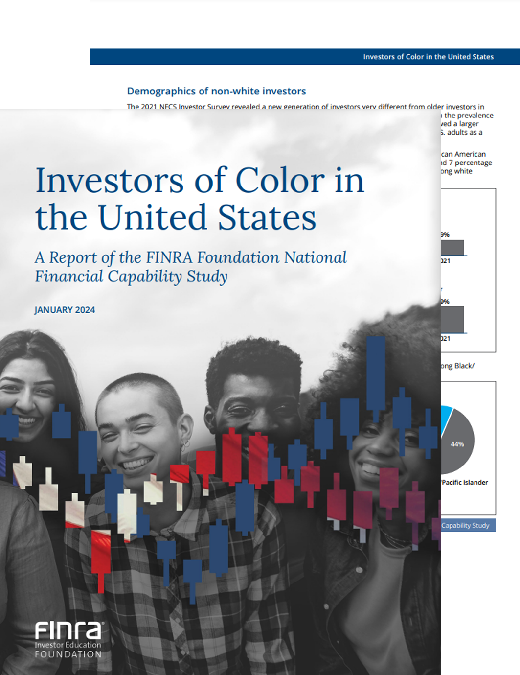 Investors of Color in the United States